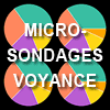 Sondages rapides sur la voyance
